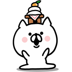 Look back on this year and New year Cat