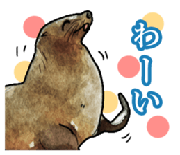 Real aquarium 2 sticker #8814946