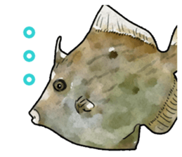 Real aquarium 2 sticker #8814952