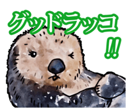 Real aquarium 2 sticker #8814960