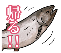 Real aquarium 2 sticker #8814962