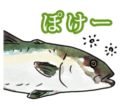 Real aquarium 2 sticker #8814966