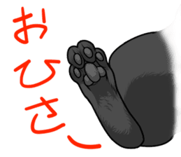 Black cat paw sticker #8815020