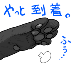 Black cat paw sticker #8815037