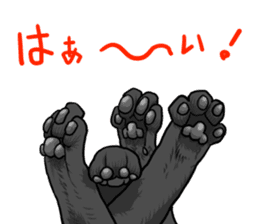 Black cat paw sticker #8815051