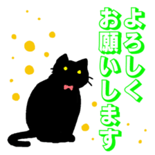 Life of the black cat sticker #8822765