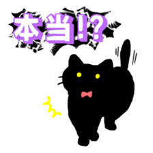 Life of the black cat sticker #8822769