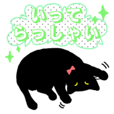 Life of the black cat sticker #8822770