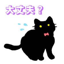 Life of the black cat sticker #8822774