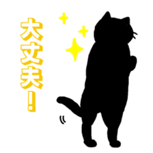 Life of the black cat sticker #8822775