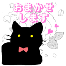 Life of the black cat sticker #8822784