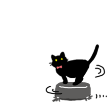 Life of the black cat sticker #8822796