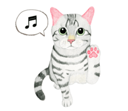 American Shorthair Sticker sticker #8823122