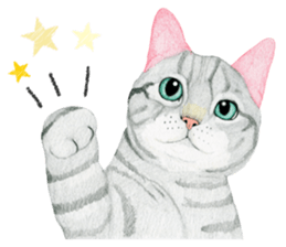 American Shorthair Sticker sticker #8823123