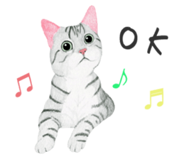American Shorthair Sticker sticker #8823124
