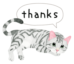 American Shorthair Sticker sticker #8823125