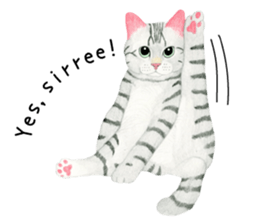 American Shorthair Sticker sticker #8823126