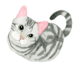 American Shorthair Sticker sticker #8823127
