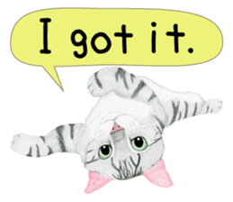 American Shorthair Sticker sticker #8823131