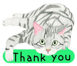 American Shorthair Sticker sticker #8823132