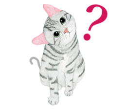 American Shorthair Sticker sticker #8823134