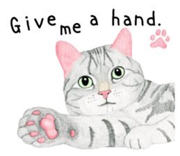 American Shorthair Sticker sticker #8823136