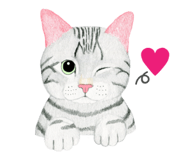 American Shorthair Sticker sticker #8823137