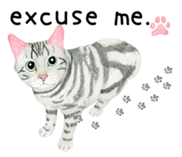 American Shorthair Sticker sticker #8823140