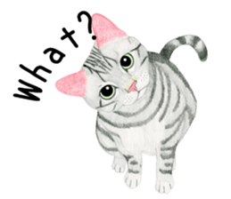 American Shorthair Sticker sticker #8823141