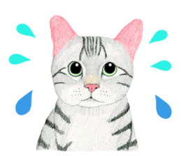 American Shorthair Sticker sticker #8823143