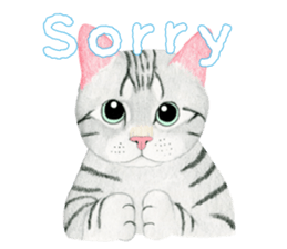 American Shorthair Sticker sticker #8823144