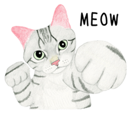 American Shorthair Sticker sticker #8823145