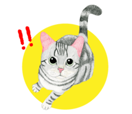 American Shorthair Sticker sticker #8823146
