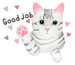 American Shorthair Sticker sticker #8823147