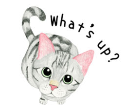 American Shorthair Sticker sticker #8823150
