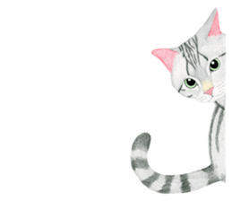 American Shorthair Sticker sticker #8823151