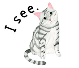 American Shorthair Sticker sticker #8823152