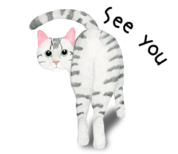 American Shorthair Sticker sticker #8823153
