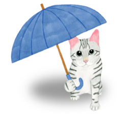 American Shorthair Sticker sticker #8823157