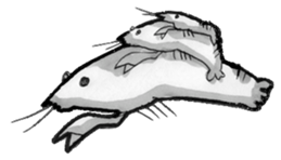 monochrome crawfish sticker #8823874