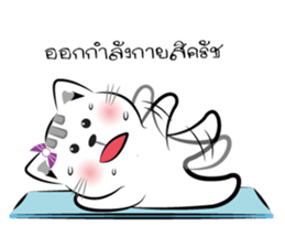 Cat-ty & Bear-ry 2 sticker #8823981