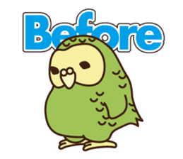 Happy Kakapo 3 Winter sticker #8832984