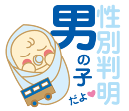 The Sticker for a expectant mother sticker #8839146