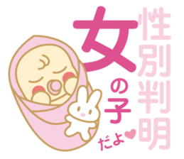 The Sticker for a expectant mother sticker #8839147