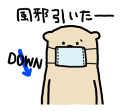 I am ferret.6 sticker #8841479