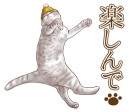 Headgear Cat 2 sticker #8843820