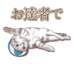 Headgear Cat 2 sticker #8843823