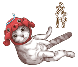 Headgear Cat 2 sticker #8843825