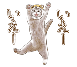 Headgear Cat 2 sticker #8843829