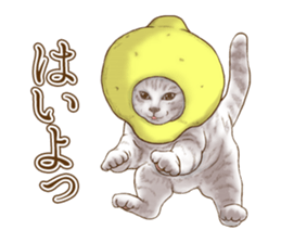 Headgear Cat 2 sticker #8843833